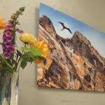 Contributed photo.
Footage from Home Tours.