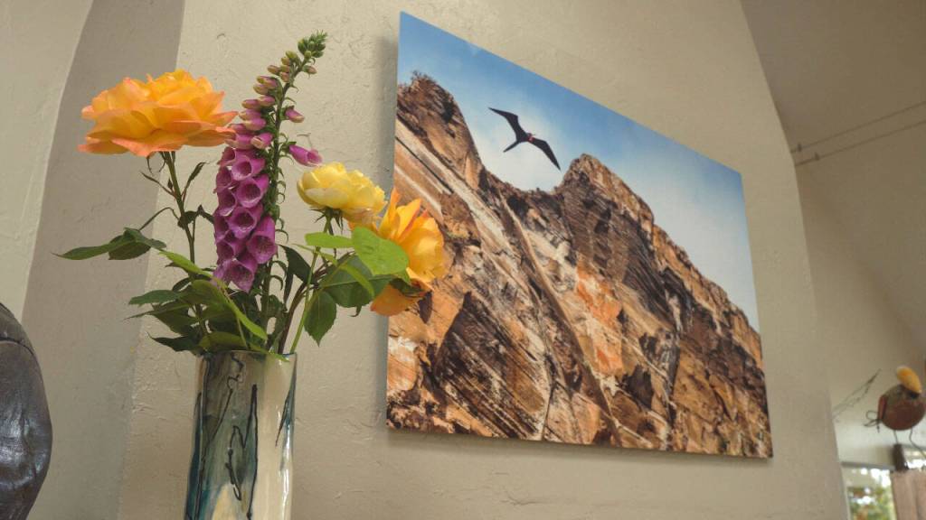 Contributed photo.
Footage from Home Tours.