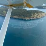 Contributed photo.
May 2, 2024: In a late-night asleep-at-the-wheel incident, the fishing boat Chief Joseph grounded and sank at Henry Island, west of Roche Harbor. The skipper and dog were rescued, but a diesel slick quickly developed and spread along the shoreline. IOSA was on the scene early the following morning and helped to locate and buoy the wreck, after which contractor divers sealed off fuel vents to minimize pollution. Seven days later the vessel was raised and towed away on a barge.