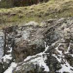 Contributed photo.
Microplastics on the shore.